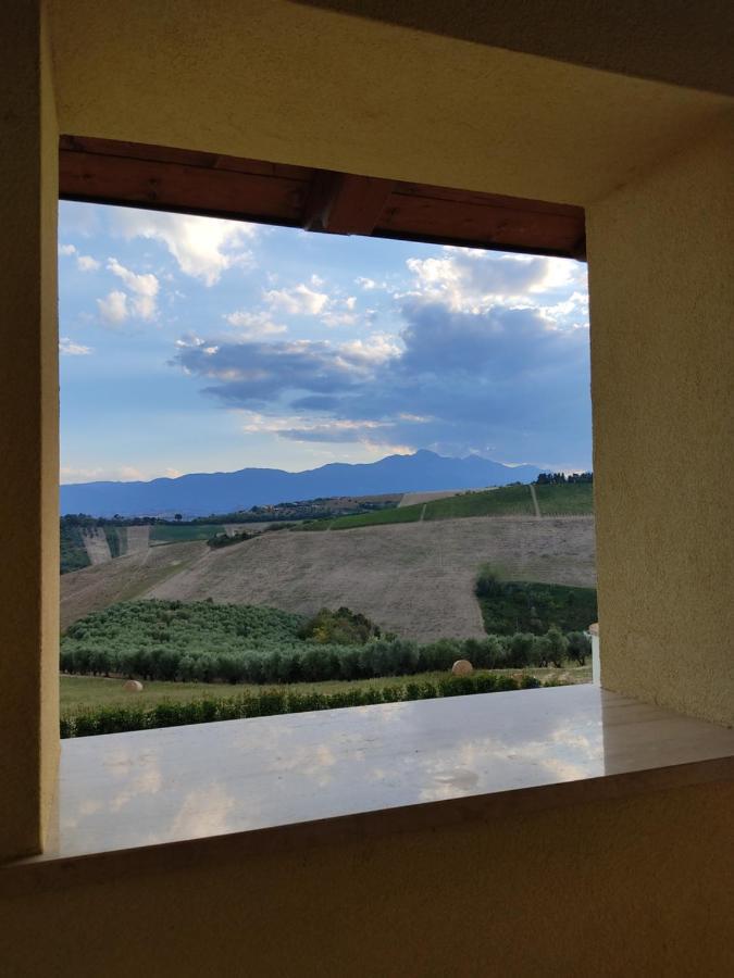 Agriturismo Terra Dei Falchi Castilenti المظهر الخارجي الصورة